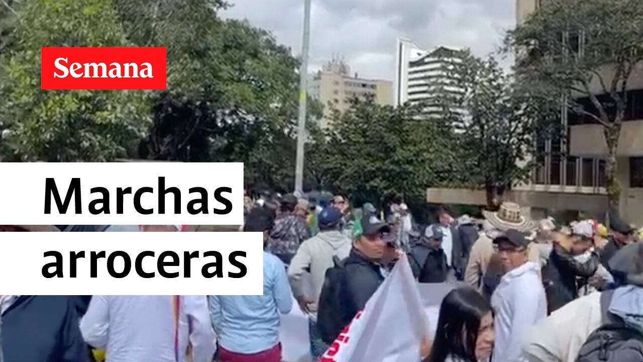 Arroceros hicieron plantón frente al Ministerio de Agricultura.