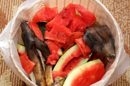 Sandía dañada y para desechar.