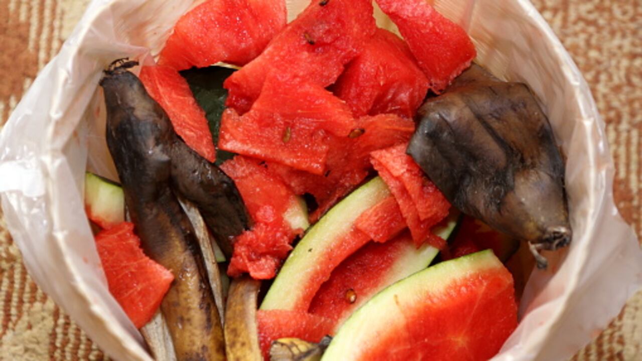 Sandía dañada y para desechar.