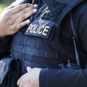 Policías de California acudieron al llamado que hicieron al 911, que al parecer lo hizo un mono de un zoológico. Imagen de referencia. Foto: Getty Images.