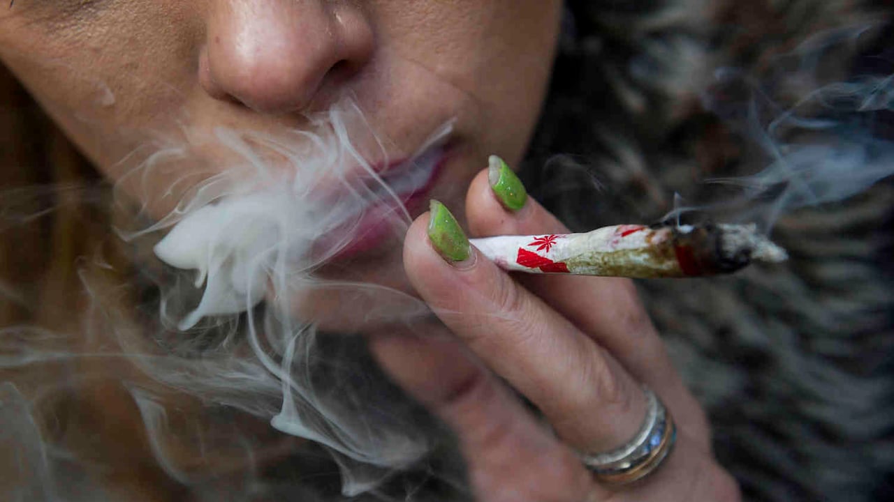 Revelador estudio de científicos canadienses advierte que consumo de cannabis puede resultar más perjudicial que el de tabaco. Christopher Katsarov / AP.