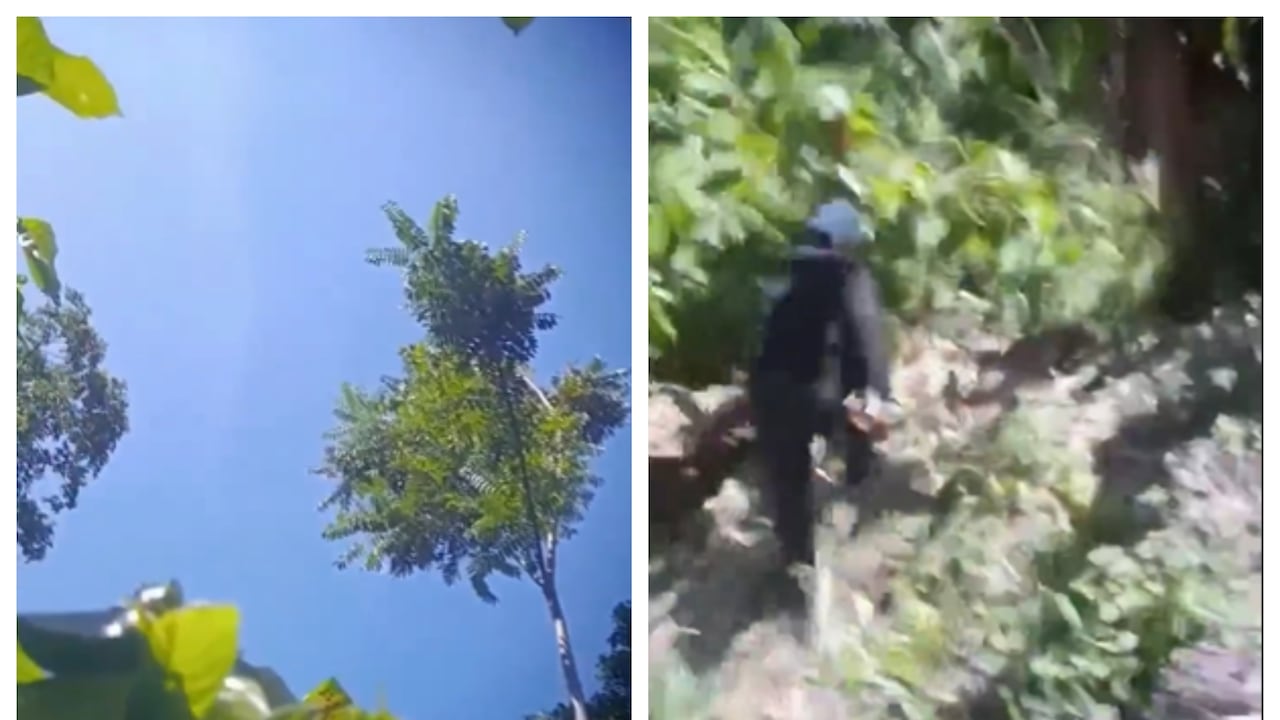 Ataque con drones en el Catatumbo atemoriza a campesinos.