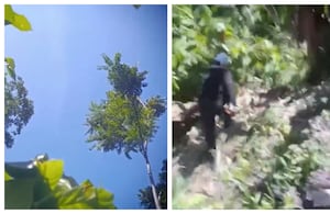 Ataque con drones en el Catatumbo atemoriza a campesinos.