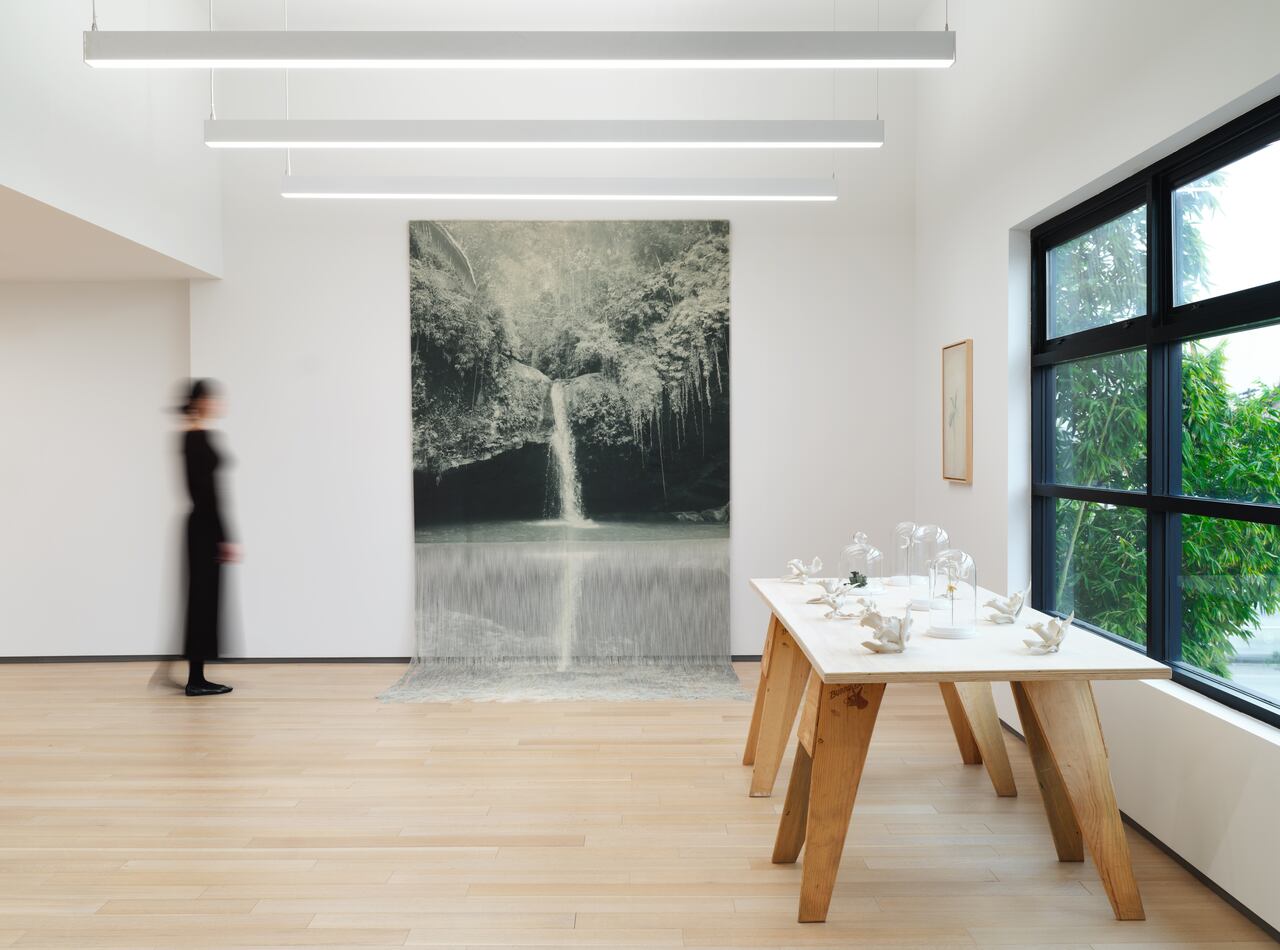 'Verdes', exposición de Ana González en la galería Sean Kelly de Los Ángeles.