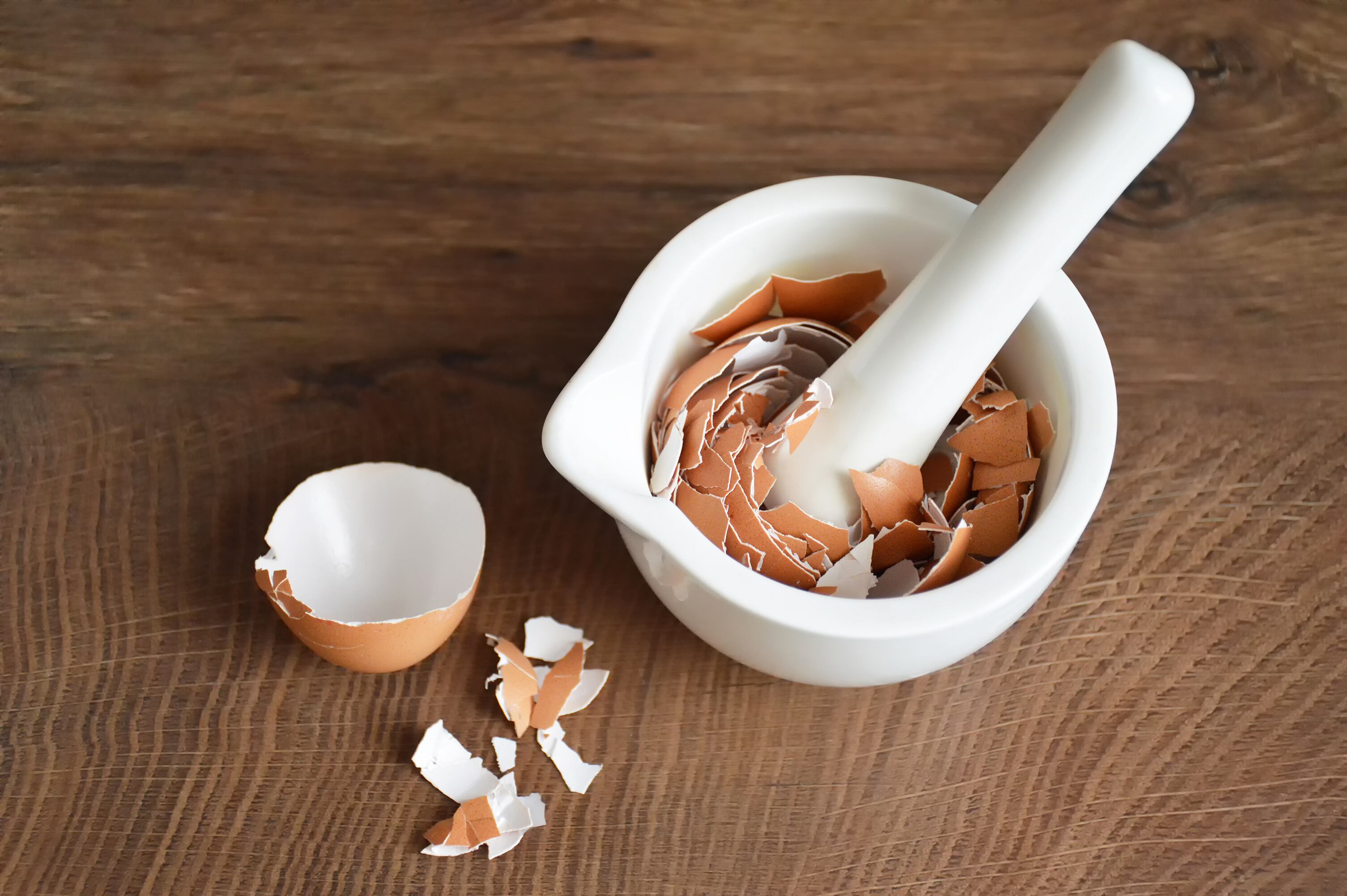 Desde la recomendación de triturar cuidadosamente hasta la consideración de alternativas más seguras, la inclusión de cáscaras en la dieta se convierte en un terreno a explorar con cautela.