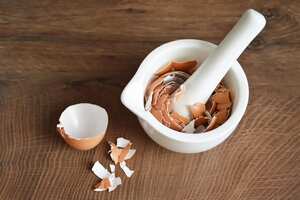 Sumergiéndose en la ciencia que respalda la composición de la cáscara, surgen interrogantes sobre si este componente podría ser más que un simple residuo.