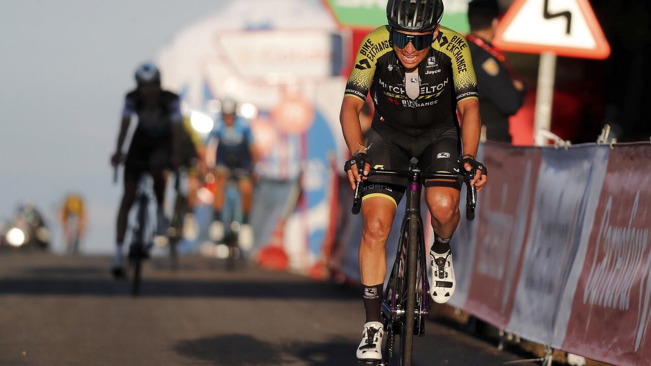 Ciclista del Mitchelton Scott.