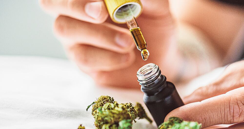   El Gobierno estima que el potencial de la exportación seca de cannabis es de unos 6.000 millones de dólares en la región. 