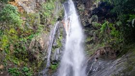 Cascada la Tunera, Pauna