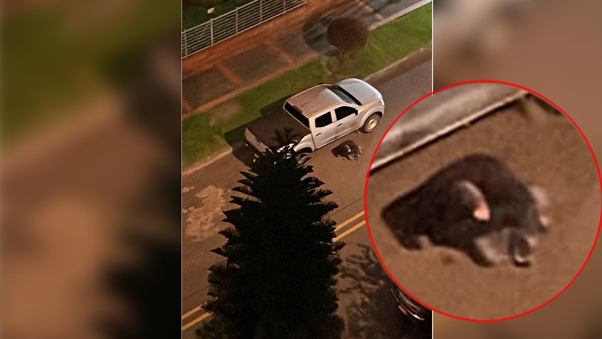 subintendente Javier Galeano Arango, escolta coronel Óscar Dávila