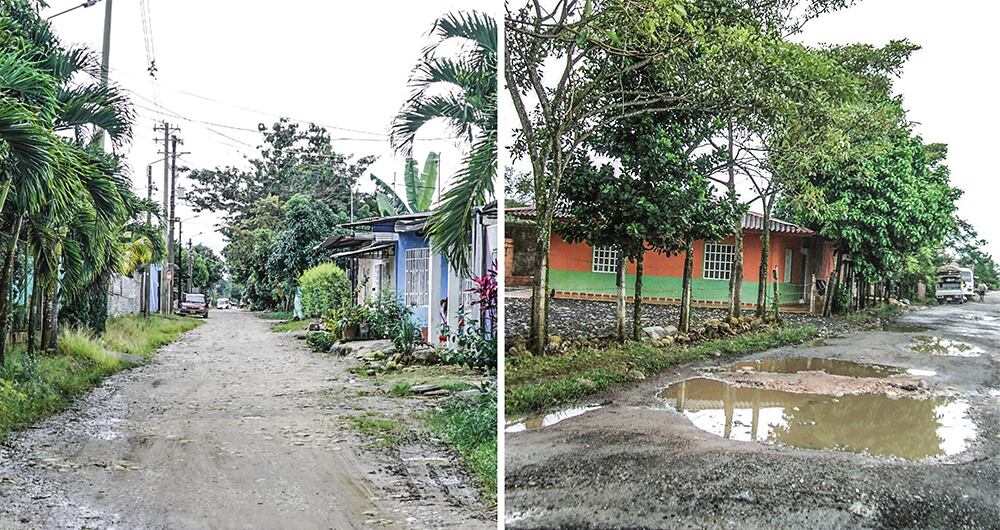 El predio La Camelia se encuentra en medio de un pleito en el que, al parecer, falsas víctimas buscan quedarse con él a punta de sentencias. Es el campanazo de alerta de una presunta red de tierreros.