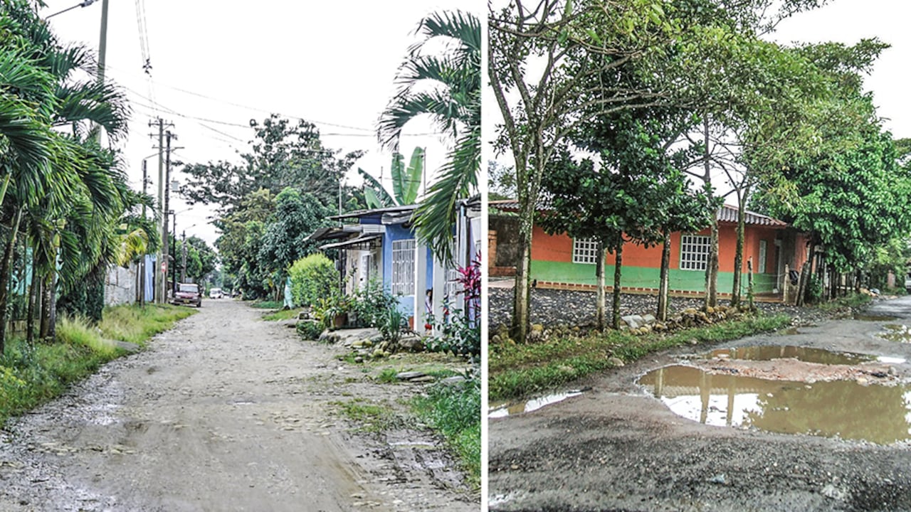 El predio La Camelia se encuentra en medio de un pleito en el que, al parecer, falsas víctimas buscan quedarse con él a punta de sentencias. Es el campanazo de alerta de una presunta red de tierreros.