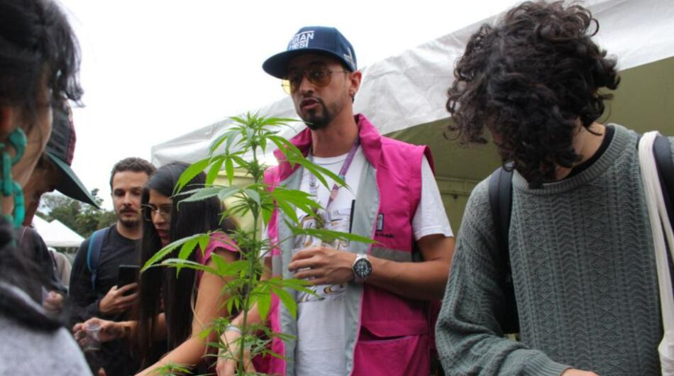 Campaña de autocultivo de marihuana en Medellín.