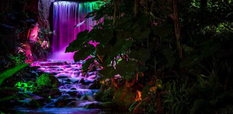 Créditos: Jardín Botánico de Bogotá / API