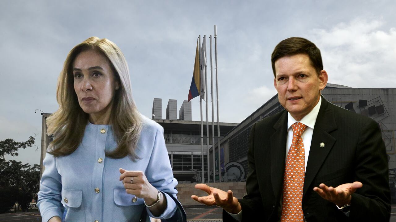 El exministro Wilson Ruiz criticó el contrato.