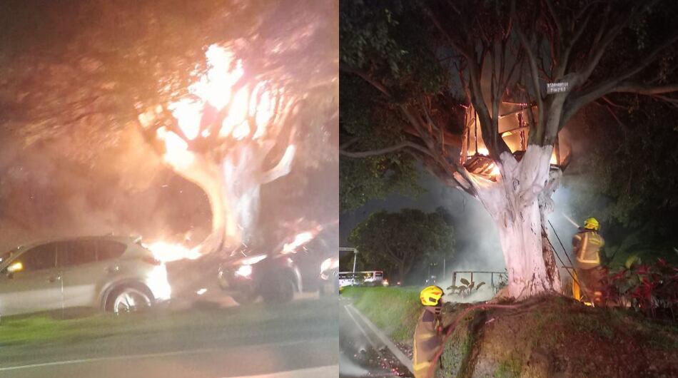 Incendio en la casa del árbol de Medellín.