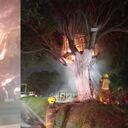 Incendio en la casa del árbol de Medellín.