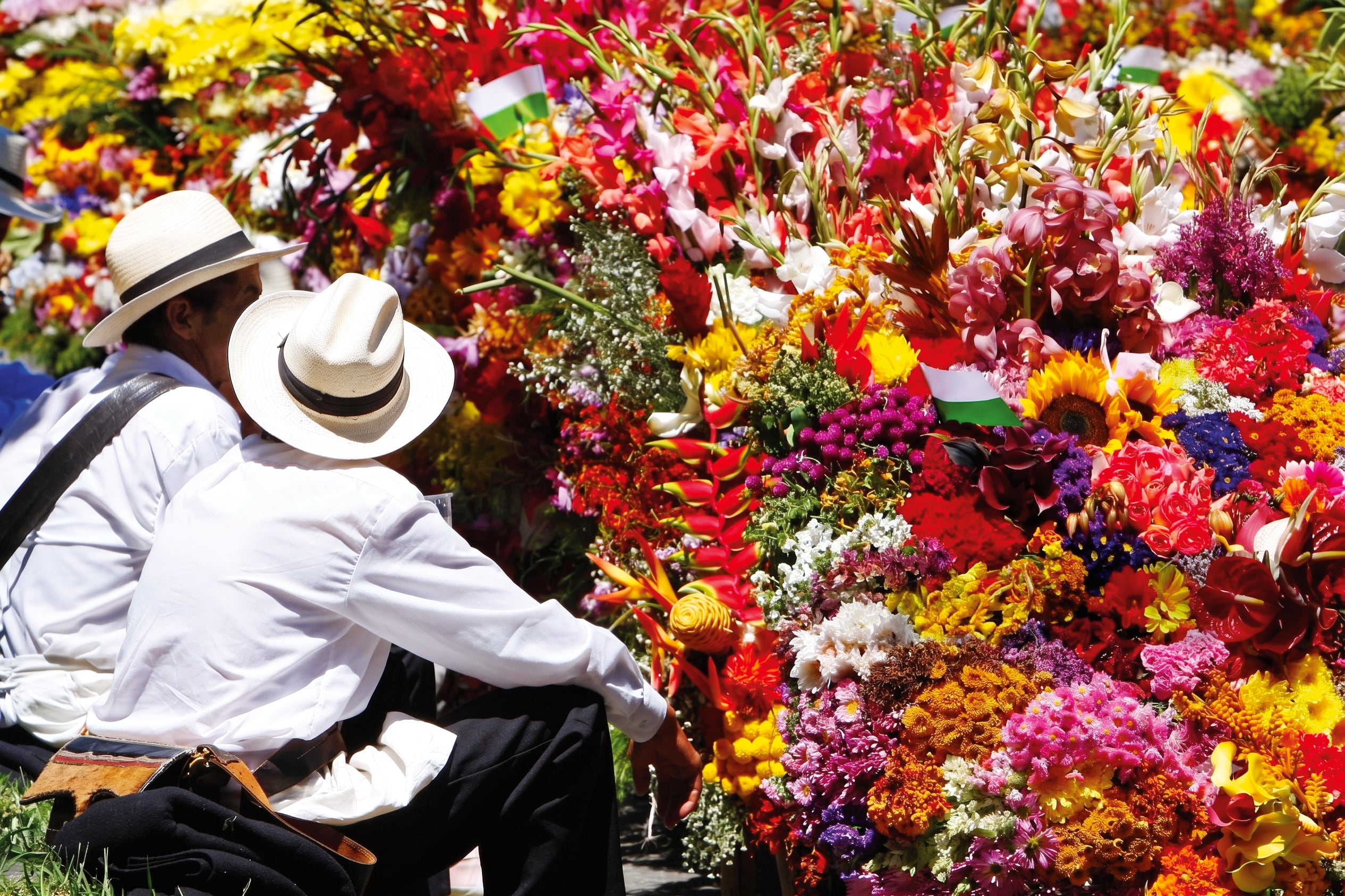 Hoy, cerca del 70 por ciento del área cultivada en Antioquia cuenta con la certificación Florverde Sustainable Flowers de Asocolflores.