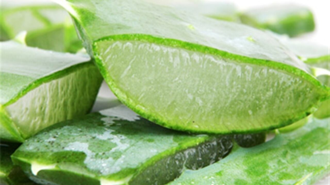 El aloe vera mejora la función del tránsito intestinal, por lo tanto, es una excelente opción para problemas intestinales.