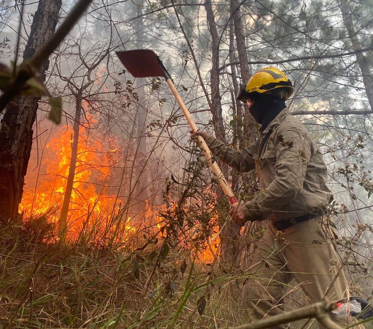 Bomberos trabajan para apagar el incendio en el cerro Quitasol.