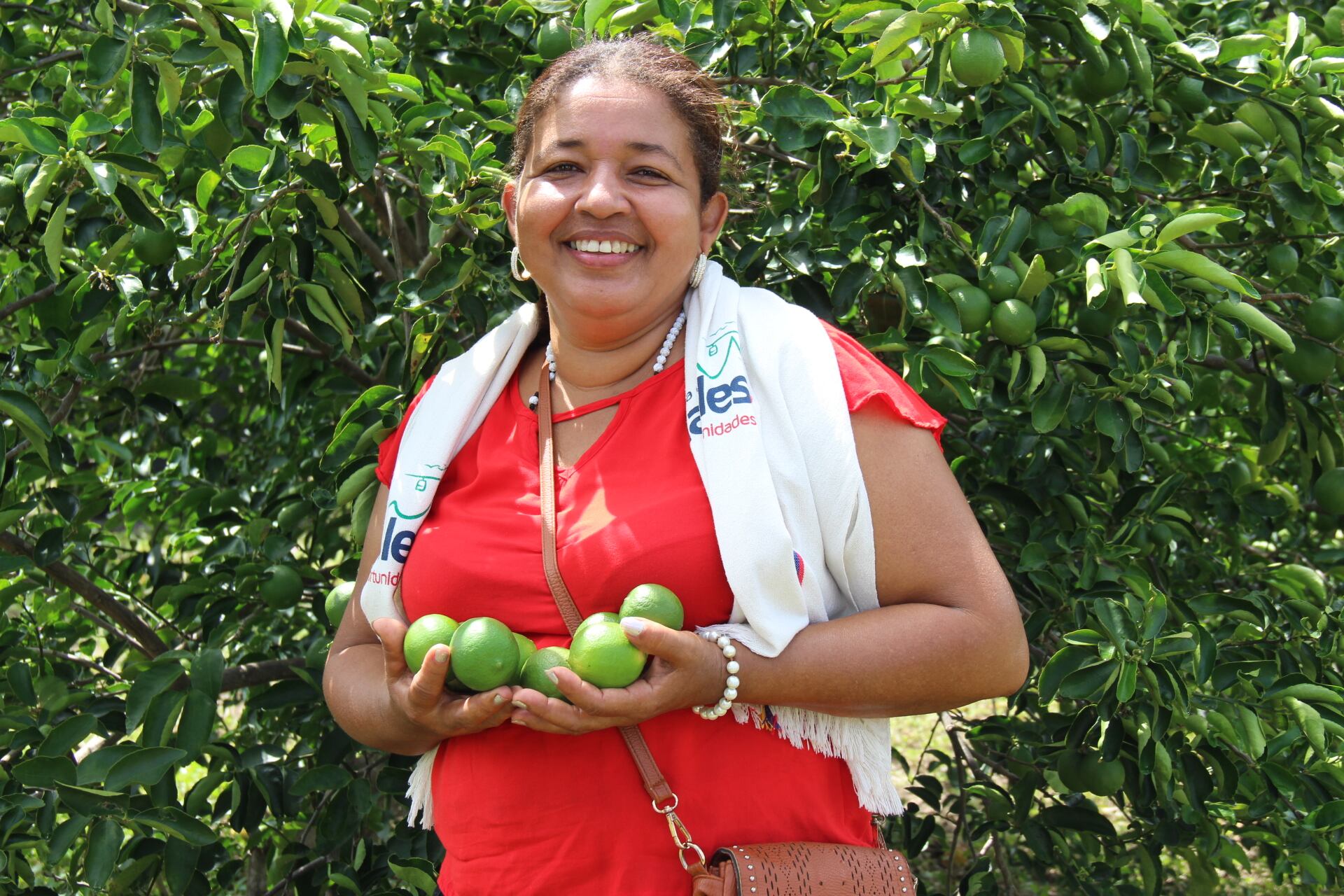 Proyecto Colombia Puede