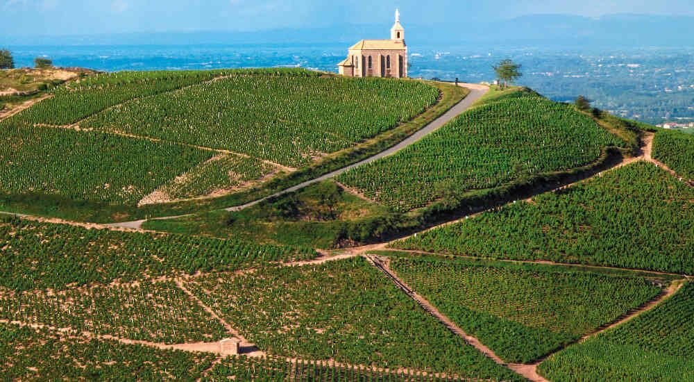 Chapelle de la Madone, viñedo de Beaujolais, en Fleurie.