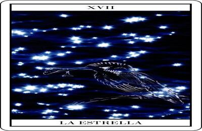 LA ESTRELLA - Ana María Rueda "La referencia a la pesca en esta carta está estrechamente ligada a la Meditación. Pesca-“pesquisa”, búsqueda en las profundidades de la Consciencia Interna, simbolizada por el agua. El pájaro, un Martín pescador POSADO serenamente sobre la rama, habla de la quietud de la mente en estado meditativo. La función de la meditación es la pesca del conocimiento interno."
