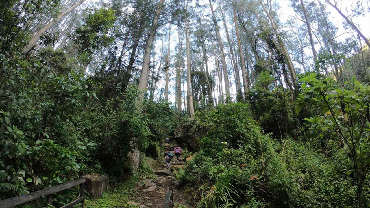 Sendero ecológico de Quebrada la vieja.