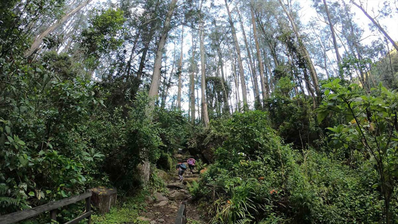 Sendero ecológico de Quebrada la vieja.