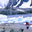 El turista admira a los pingüinos de Adelie en la isla de Petermann Antártida.