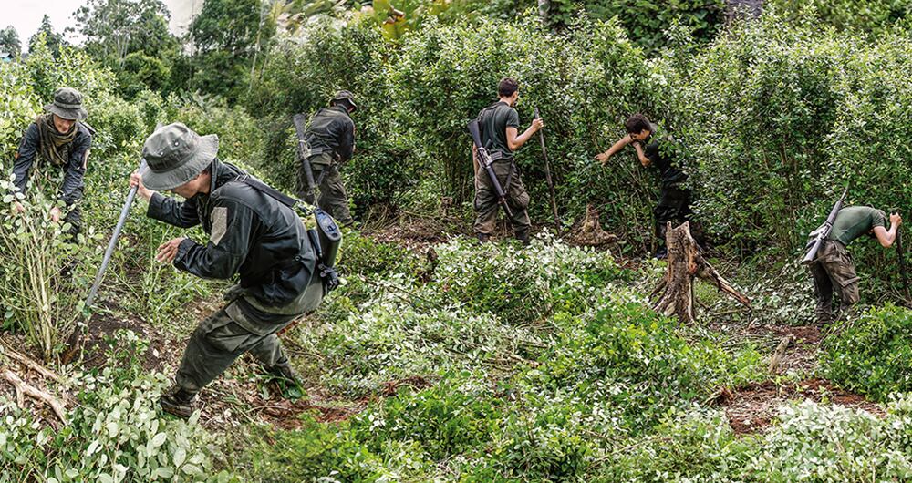 La revista brítanica criticó la estrategia de erradiación en el país.