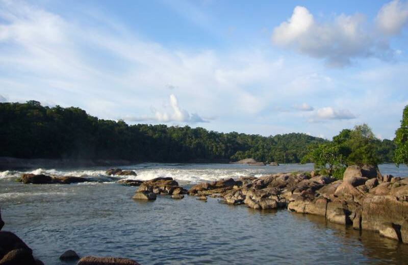 Del complejo de agua y montañas representado en Yuisi depende el equilibrio de la selva. Cada mes de marzo las comunidades hacen el ritual del Yurupari que conecta a los chamanes con este sitio sagrado, y permite que los niños den el paso a su vida adulta.  