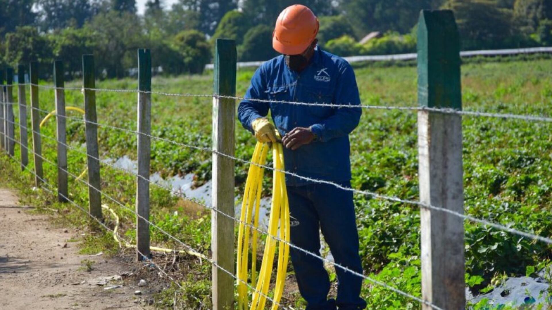 En enero iniciaron las obras en La Punta y tres meses después se conectaron 148 usuarios de esta vereda.