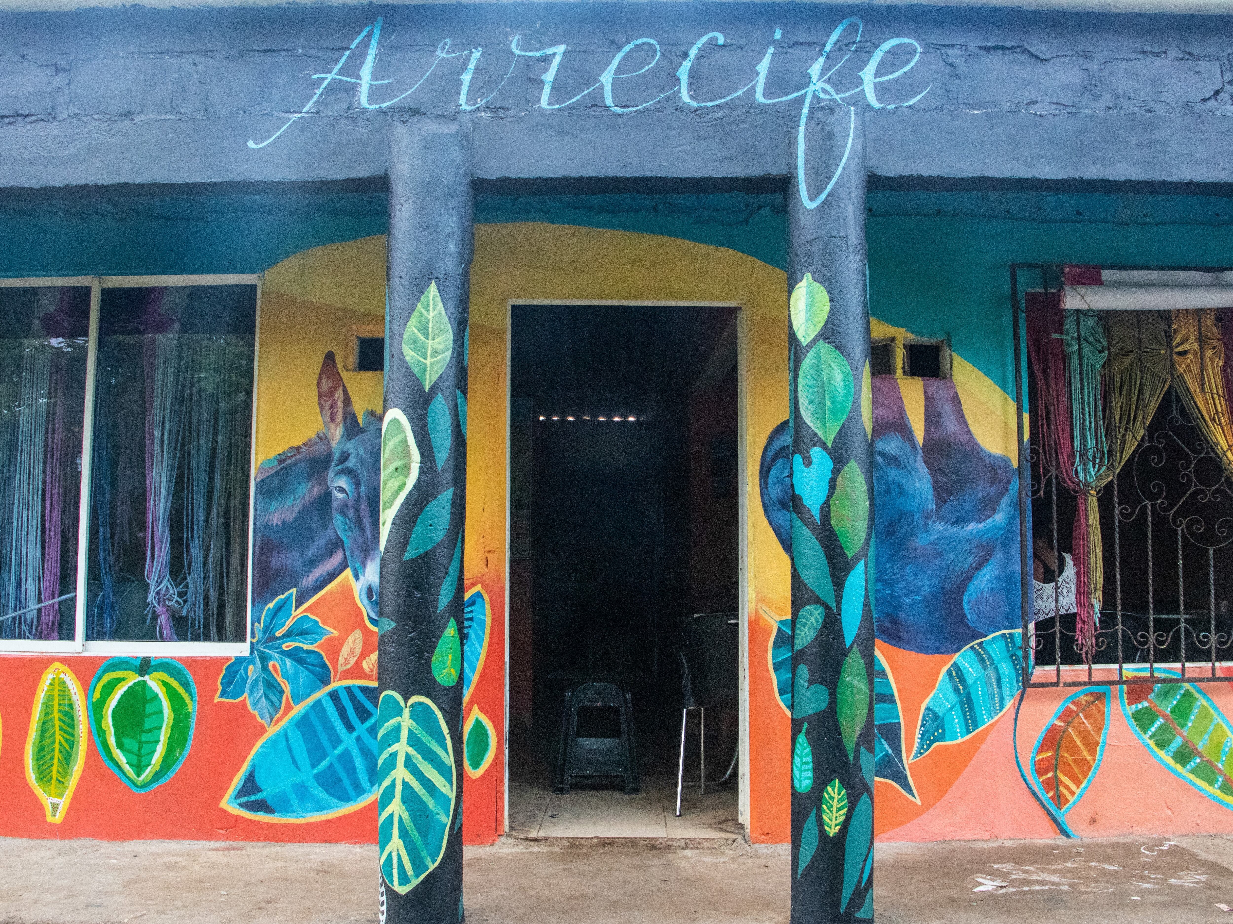 Más de 60 niñas, niños y jóvenes de Isla Fuerte preservan la memoria de su territorio a través del arte en la Escuela Arrecife. Foto: FESCILA