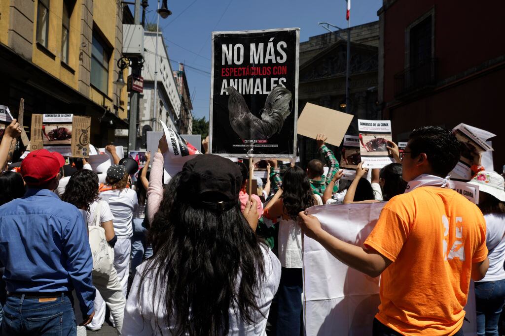 Activists protest with banners outside the Congress of Mexico City, Mexico, on March 11, 2025, to demand a vote on the ban on bullfighting. (Photo by Gerardo Vieyra/NurPhoto via Getty Images)