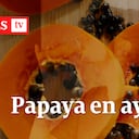 Jugo de papaya en ayunas: estos son sus beneficios para la salud