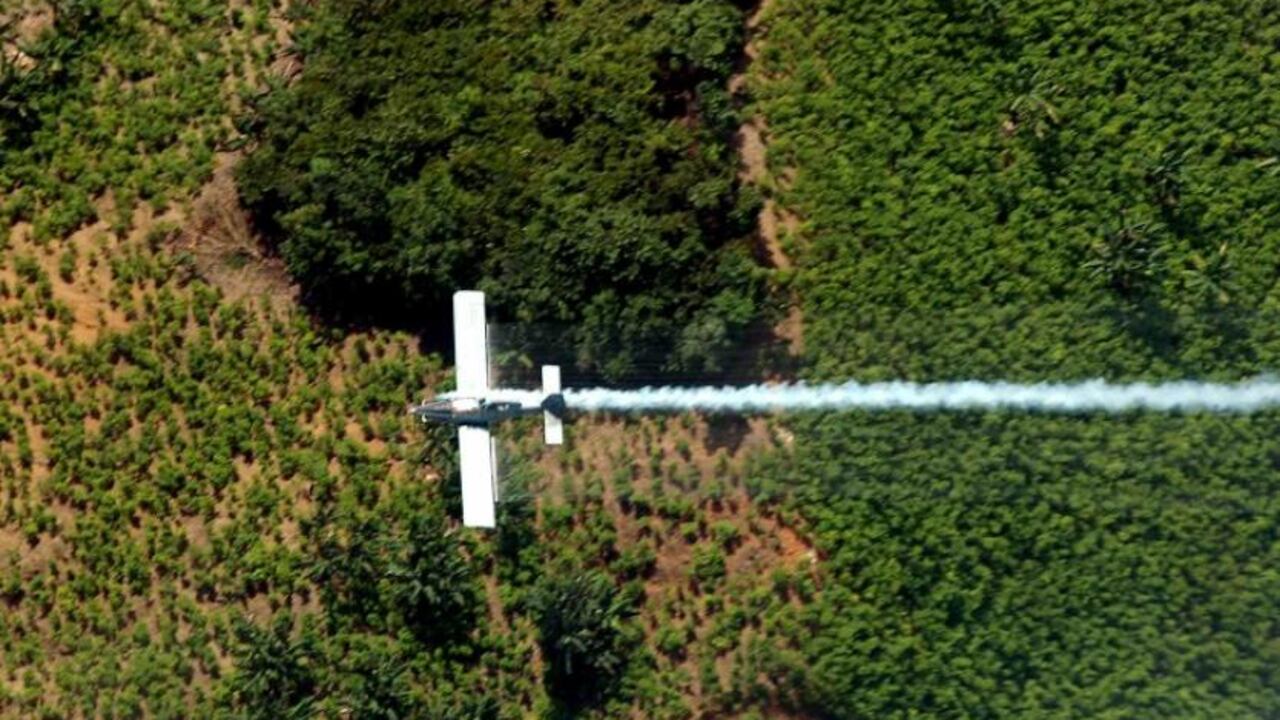 Gobierno Trump dice que hay avances en la lucha contra el narcotráfico.