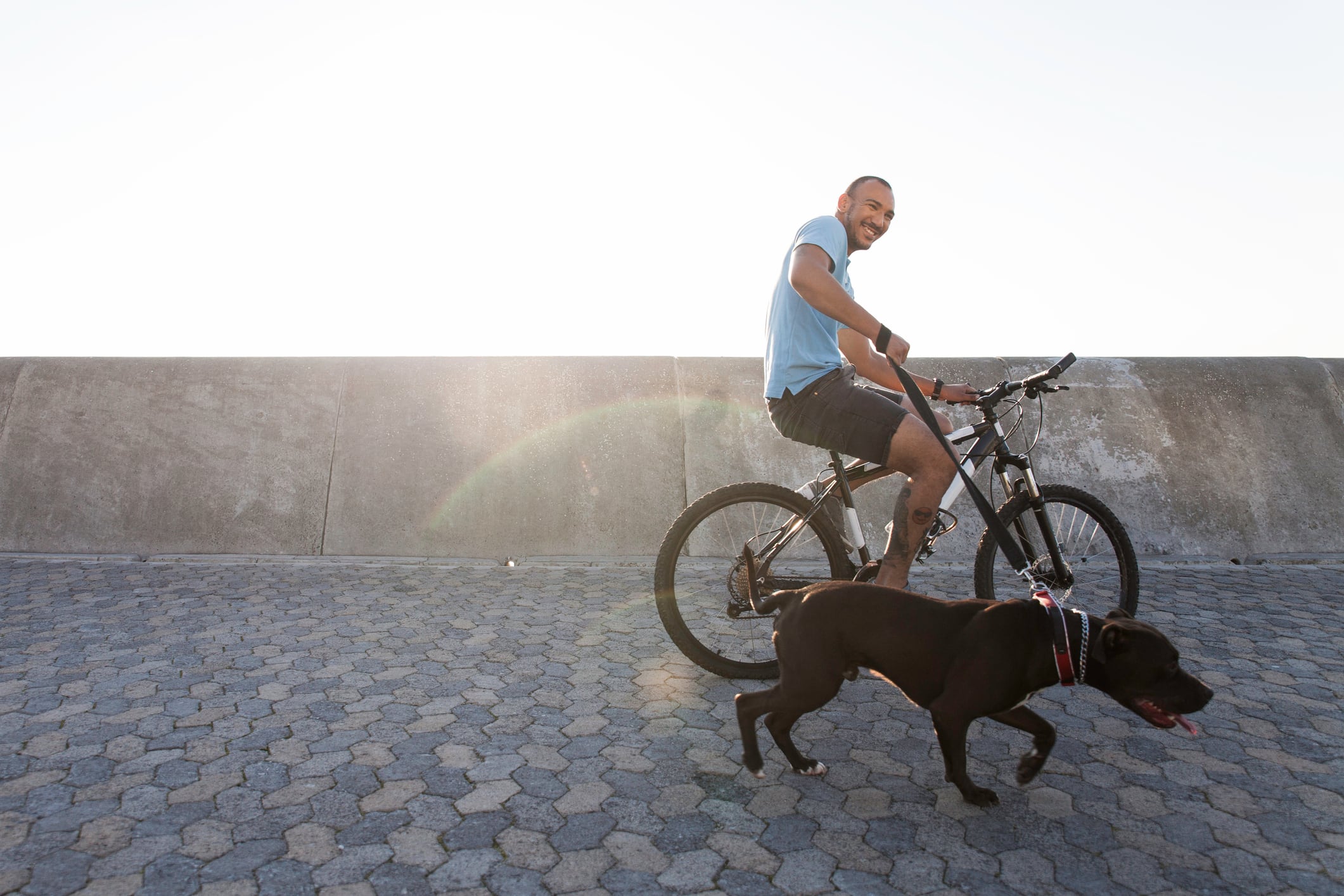 Parques y lugares pet-friendly en Bogotá.