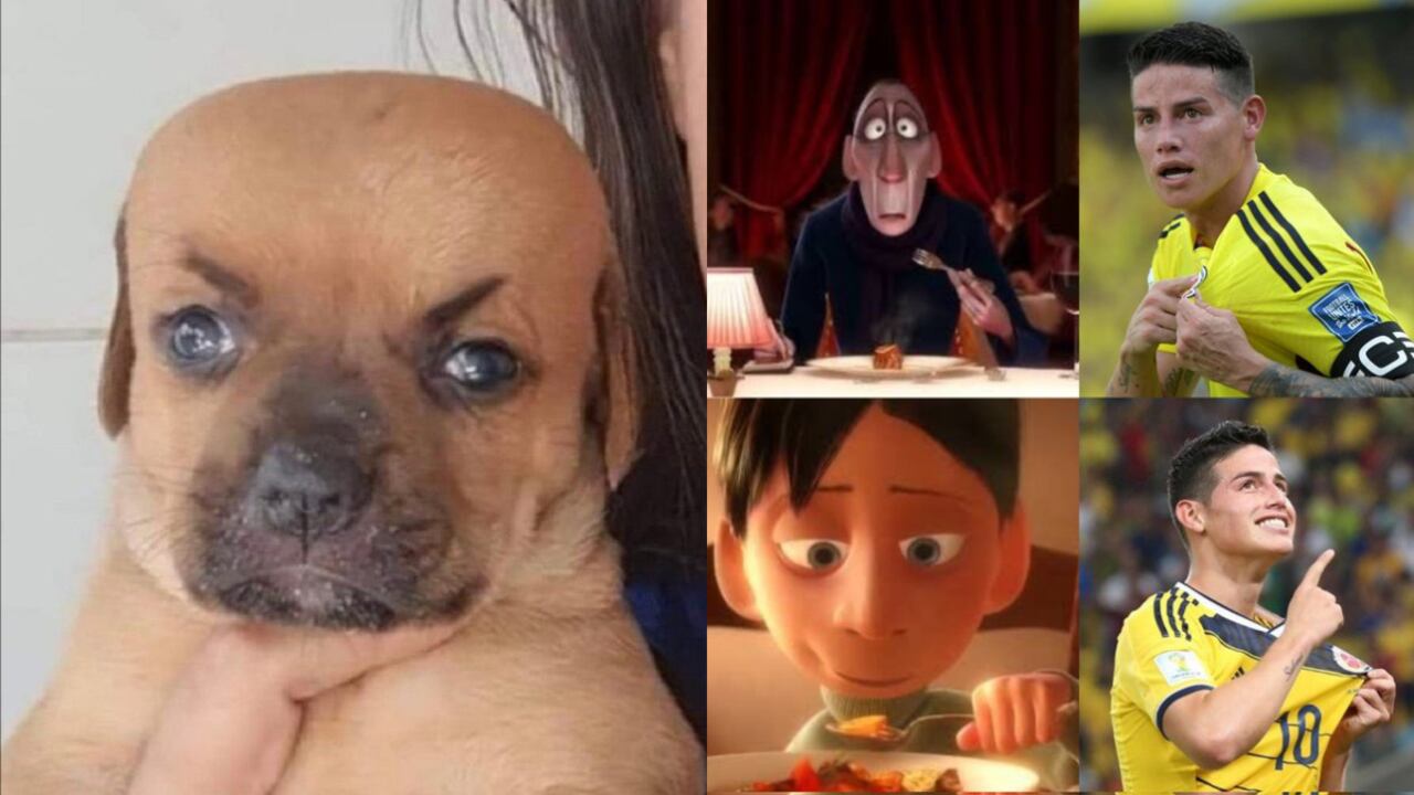 Los memes no se hicieron esperar luego del partido entre Colombia y Uruguay. Foto 1: Twitter @ElGolGarracol. Foto 2: Twitter @joseborjak