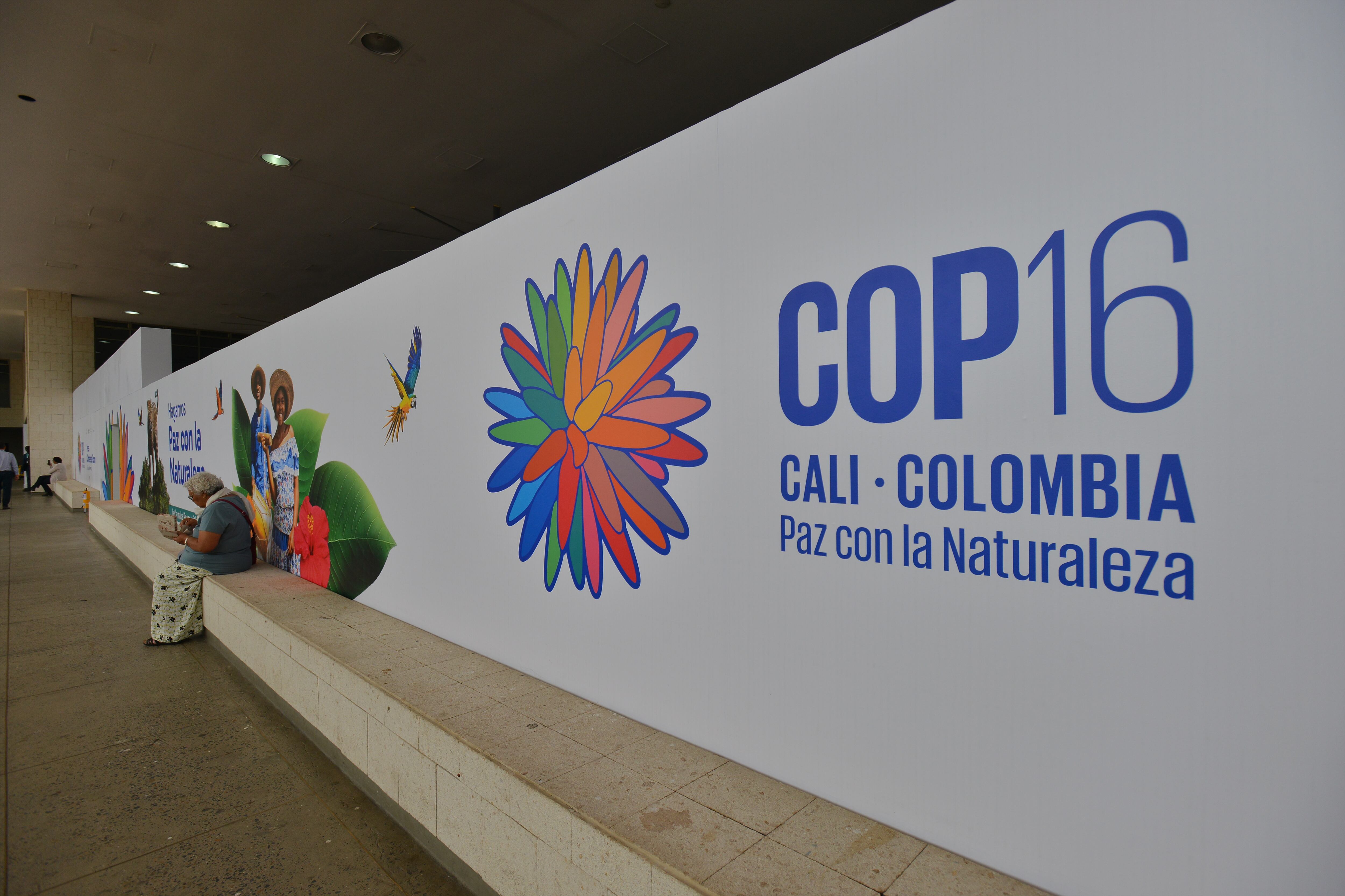 CALI, COLOMBIA - OCTOBER 20: General view of the 'COP16:Peace With Nature' at Valle Del Pacífico Event Center on October 20, 2024 in Cali, Colombia. (Photo by Gabriel Aponte/Getty Images)