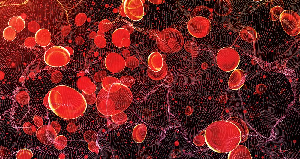 La sangre es un tejido conectivo líquido, que circula por capilares, venas y arterias de todos los vertebrados.