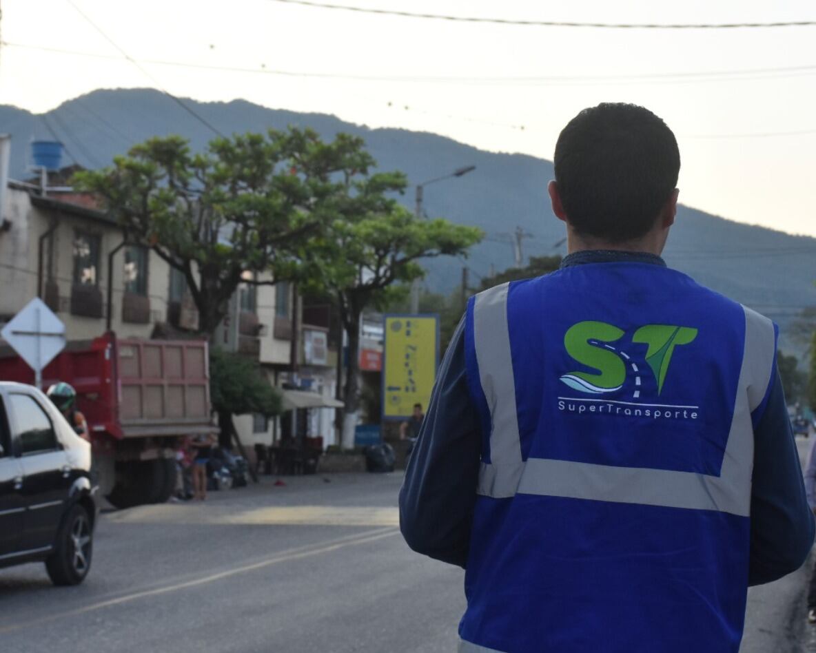 Licencias de conducción