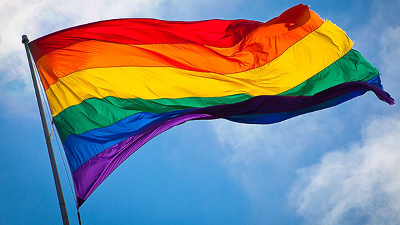 Colombia asumió coordinación del grupo núcleo LGTBI de la OEA.