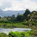 Los humedales suministran alimento, sostienen la biodiversidad y son los ecosistemas que más capturan carbono en el planeta. Por fortuna Bogotá cuenta con 15 oficialmente reconocidos y 23 con potencial. Uno de ellos es el humedal Córdoba, que alberga la mayor cantidad de aves registradas en un humedal, más de 150 especies. Gracias al trabajo de la comunidad vecina hoy es uno de los mejor conservados de la ciudad. Foto: Fundación Humedales Bogotá - Jorge Escobar