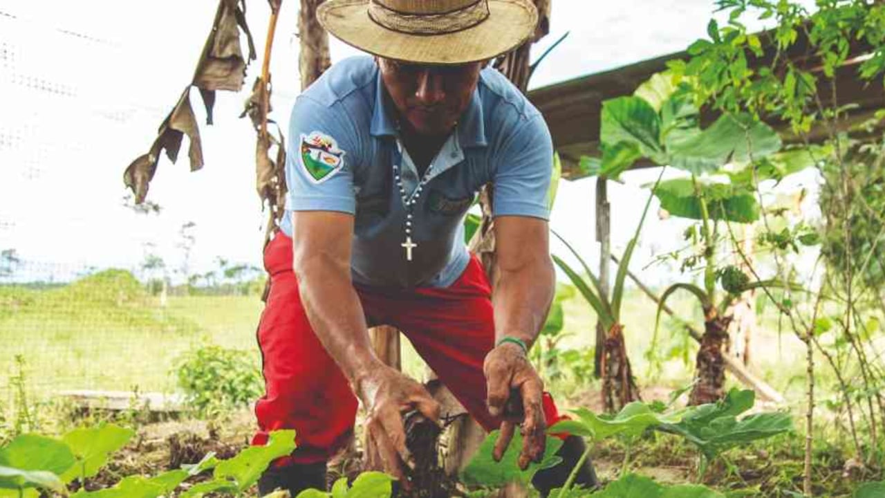 ©Luis Alejandro Hernandez/Conservación Internacional