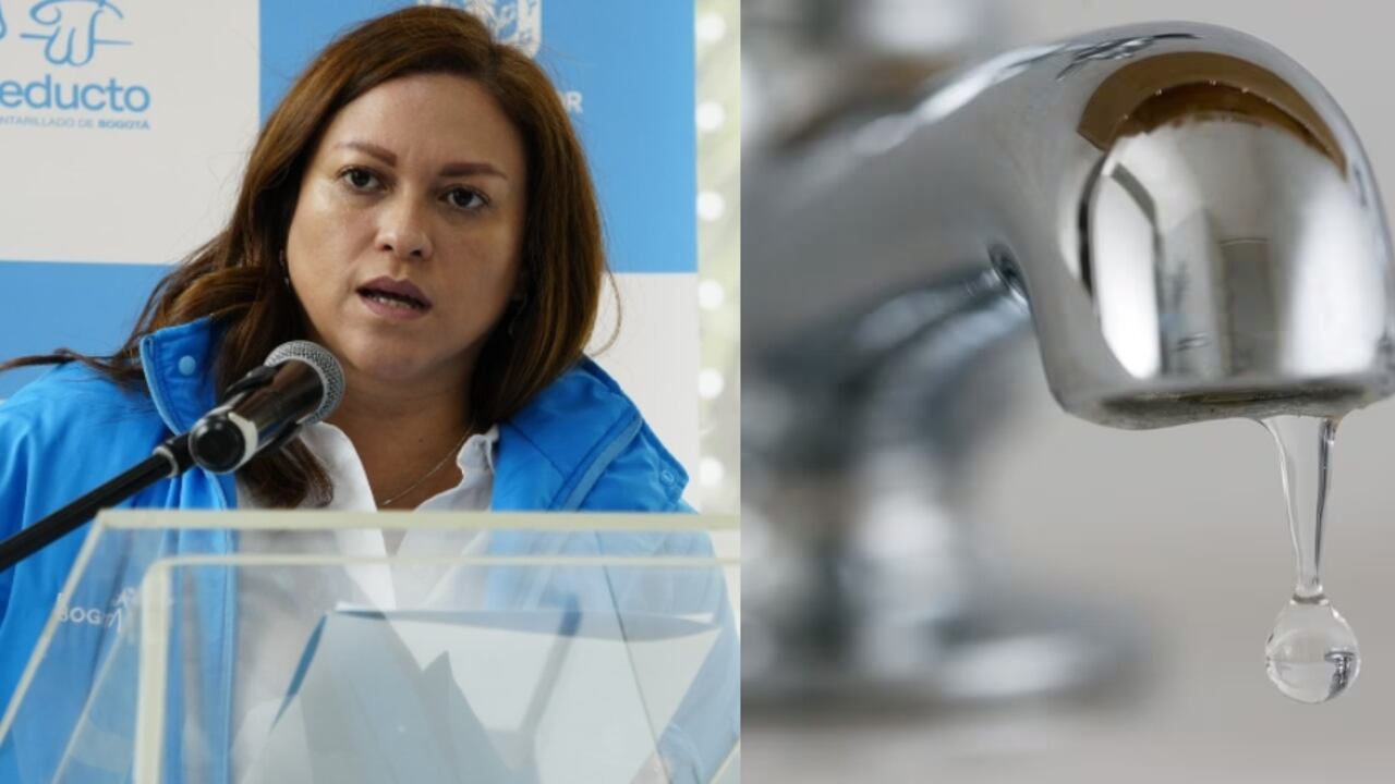 Natasha Avendaño, gerente general de la Empresa de Acueducto y Alcantarillado de Bogotá.