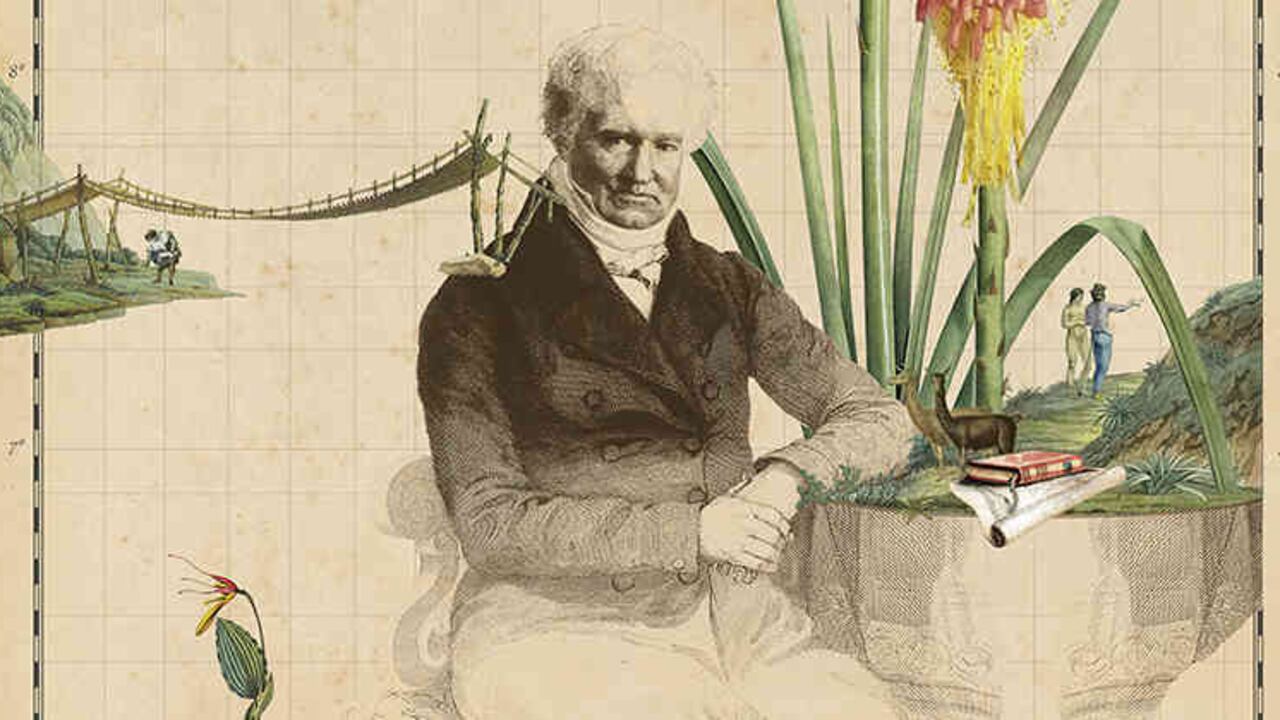 Ilustración: Fiorella Ferroni