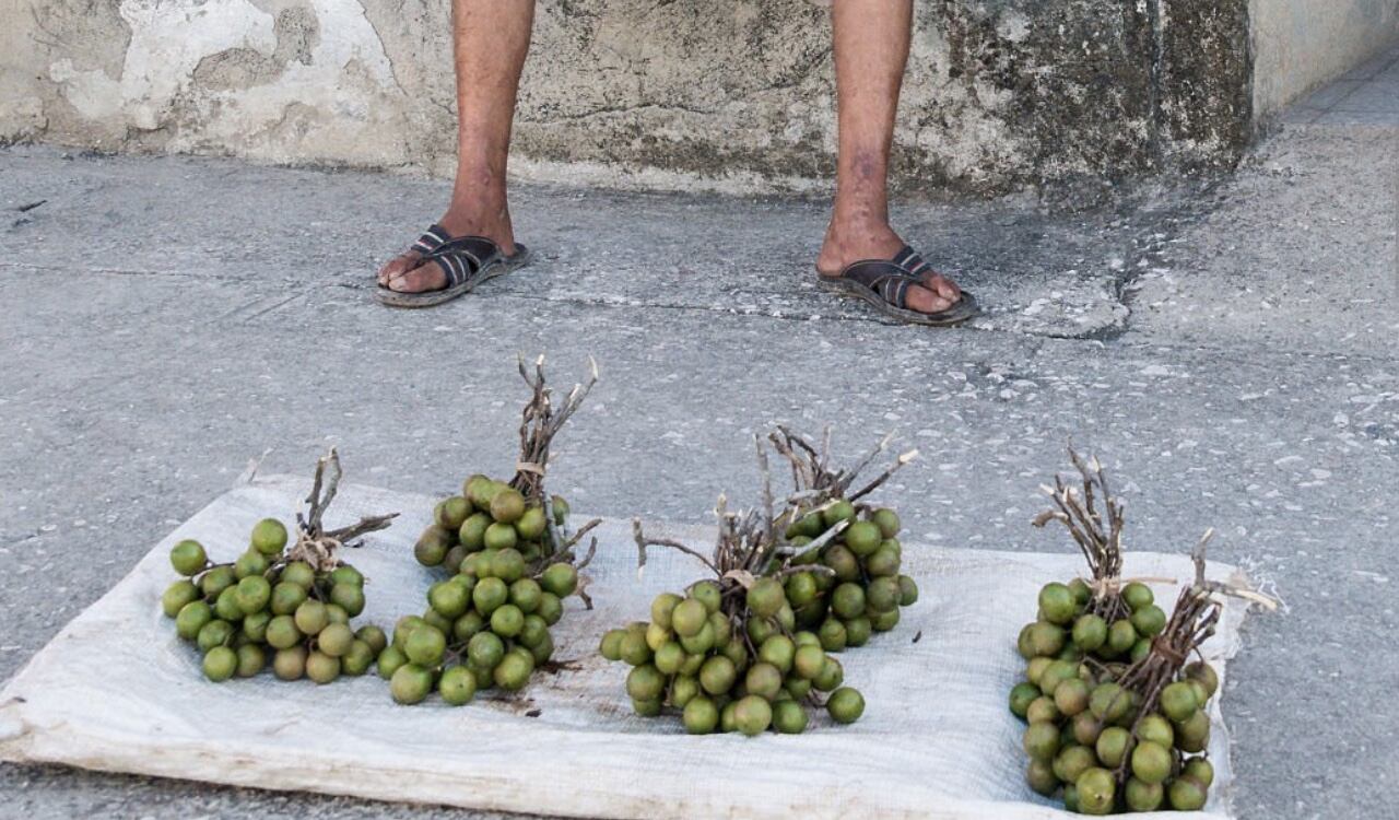Los mamoncillos se consiguen fácilmente, incluso los venden en las calles de varias ciudades latinoamericanas