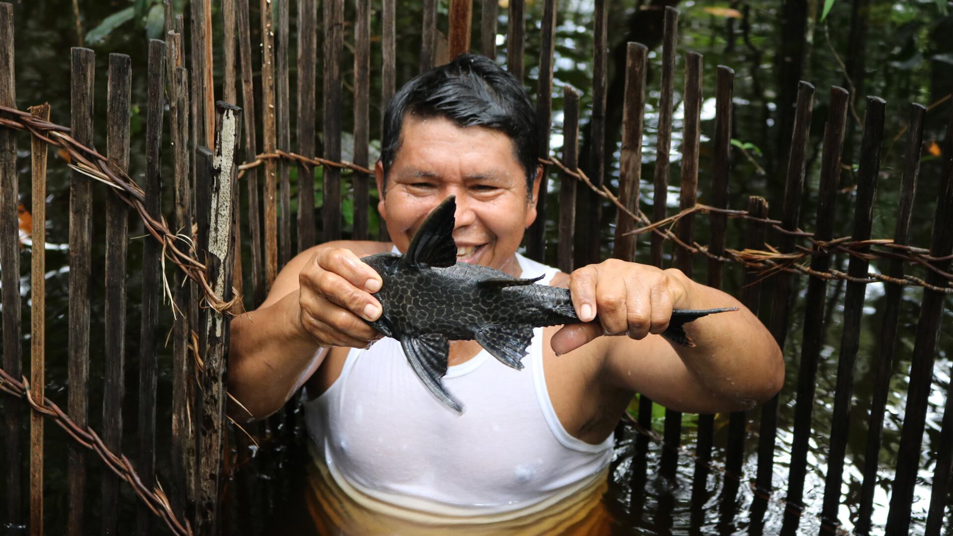 NO USAR, USO EXCLUSIVO MEJOR COLOMBIA, Especial Mejor Colombia, Mercado Guainía