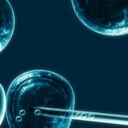 Las células madre humanas creadas por clonación pueden convertirse en cualquier tejido del cuerpo y por lo tanto regenerar órganos dañados.